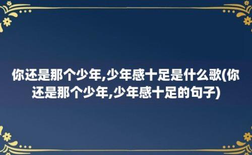 你还是那个少年,少年感十足是什么歌(你还是那个少年,少年感十足的句子)