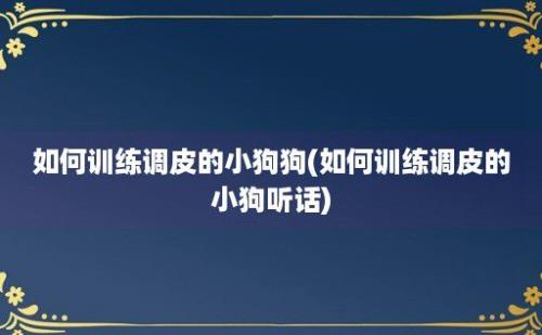 如何训练调皮的小狗狗(如何训练调皮的小狗听话)