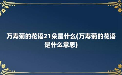 万寿菊的花语21朵是什么(万寿菊的花语是什么意思)