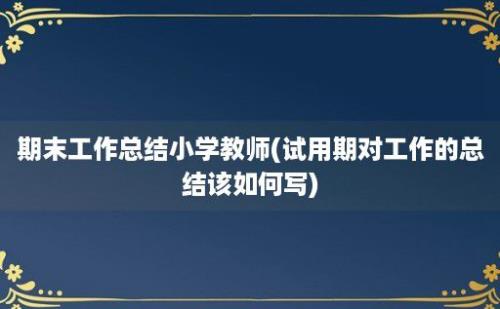 期末工作总结小学教师(试用期对工作的总结该如何写)