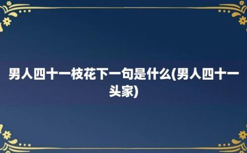 男人四十一枝花下一句是什么(男人四十一头家)