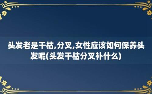 头发老是干枯,分叉,女性应该如何保养头发呢(头发干枯分叉补什么)