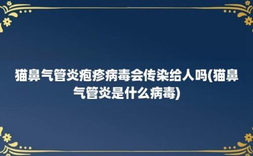 猫鼻气管炎疱疹病毒会传染给人吗(猫鼻气管炎是什么病毒)