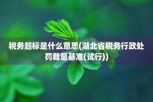 税务超标是什么意思(湖北省税务行政处罚裁量基准(试行))