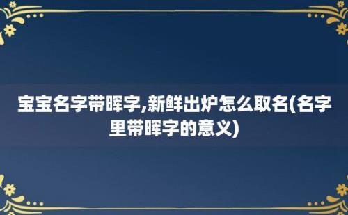 宝宝名字带晖字,新鲜出炉怎么取名(名字里带晖字的意义)