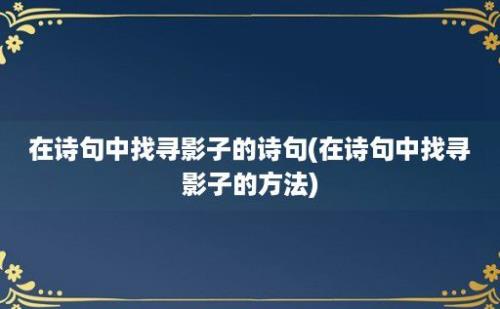 在诗句中找寻影子的诗句(在诗句中找寻影子的方法)