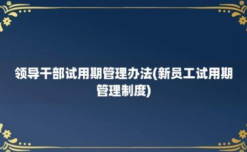 领导干部试用期管理办法(新员工试用期管理制度)