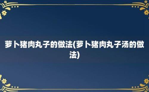 萝卜猪肉丸子的做法(萝卜猪肉丸子汤的做法)