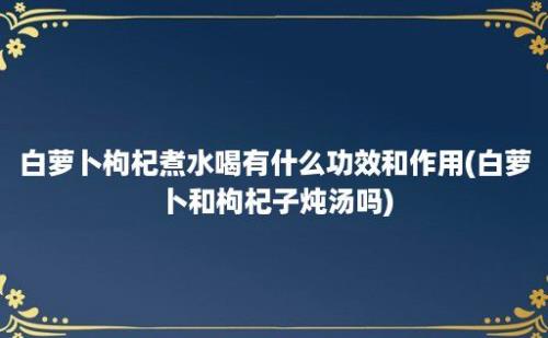 白萝卜枸杞煮水喝有什么功效和作用(白萝卜和枸杞子炖汤吗)