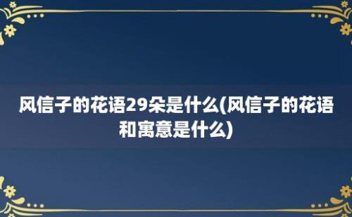 风信子的花语29朵是什么(风信子的花语和寓意是什么)