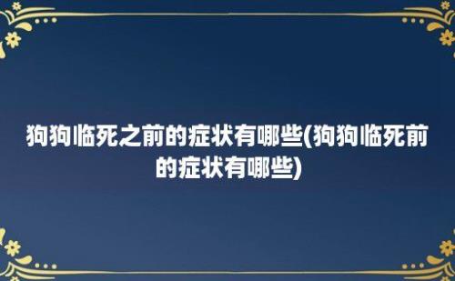 狗狗临死之前的症状有哪些(狗狗临死前的症状有哪些)