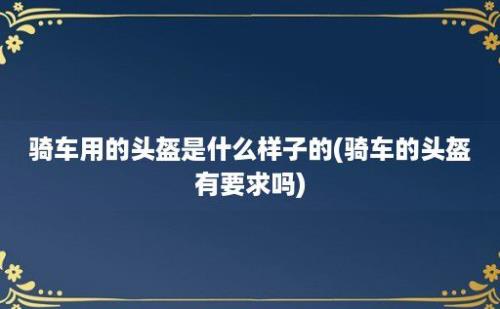 骑车用的头盔是什么样子的(骑车的头盔有要求吗)