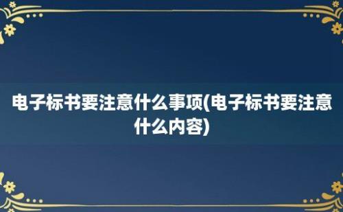 电子标书要注意什么事项(电子标书要注意什么内容)