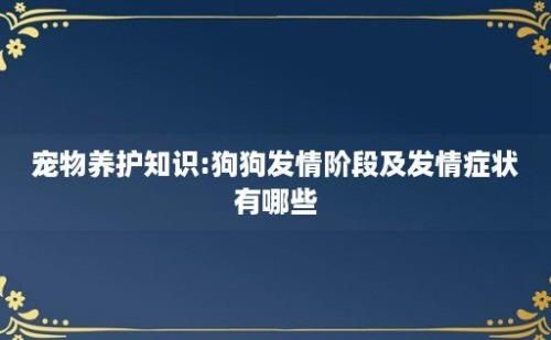 宠物养护知识:狗狗发情阶段及发情症状有哪些