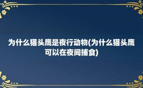 为什么猫头鹰是夜行动物(为什么猫头鹰可以在夜间捕食)