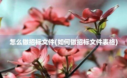 怎么做招标文件(如何做招标文件表格)