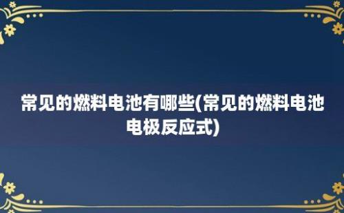 常见的燃料电池有哪些(常见的燃料电池电极反应式)