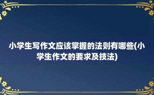 小学生写作文应该掌握的法则有哪些(小学生作文的要求及技法)