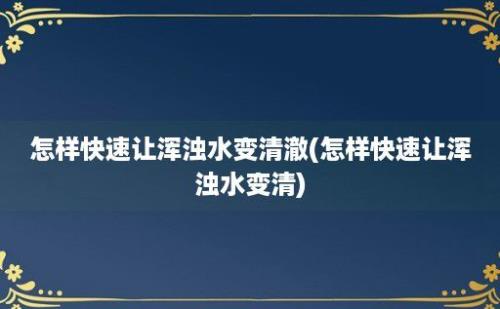 怎样快速让浑浊水变清澈(怎样快速让浑浊水变清)