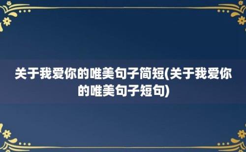 关于我爱你的唯美句子简短(关于我爱你的唯美句子短句)