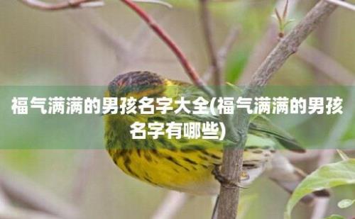 福气满满的男孩名字大全(福气满满的男孩名字有哪些)