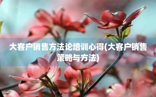 大客户销售方法论培训心得(大客户销售策略与方法)