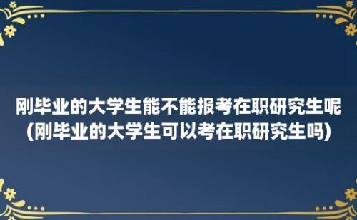 刚毕业的大学生能不能报考在职研究生呢(刚毕业的大学生可以考在职研究生吗)