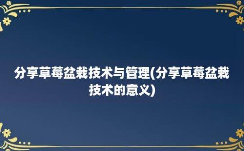 分享草莓盆栽技术与管理(分享草莓盆栽技术的意义)