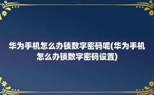 华为手机怎么办锁数字密码呢(华为手机怎么办锁数字密码设置)