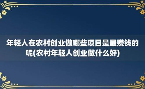 年轻人在农村创业做哪些项目是最赚钱的呢(农村年轻人创业做什么好)