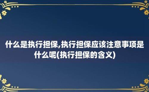 什么是执行担保,执行担保应该注意事项是什么呢(执行担保的含义)