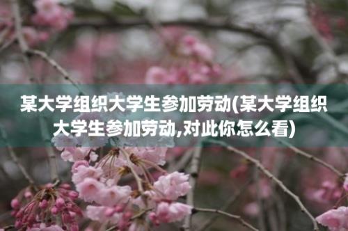 某大学组织大学生参加劳动(某大学组织大学生参加劳动,对此你怎么看)