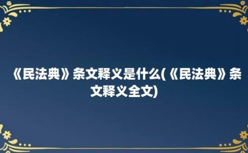 《民法典》条文释义是什么(《民法典》条文释义全文)