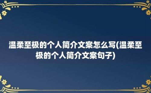 温柔至极的个人简介文案怎么写(温柔至极的个人简介文案句子)