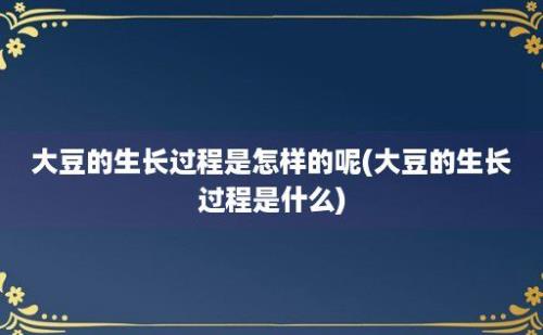 大豆的生长过程是怎样的呢(大豆的生长过程是什么)