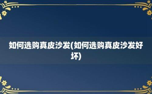 如何选购真皮沙发(如何选购真皮沙发好坏)