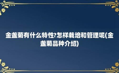 金盏菊有什么特性?怎样栽培和管理呢(金盏菊品种介绍)