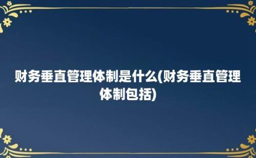 财务垂直管理体制是什么(财务垂直管理体制包括)