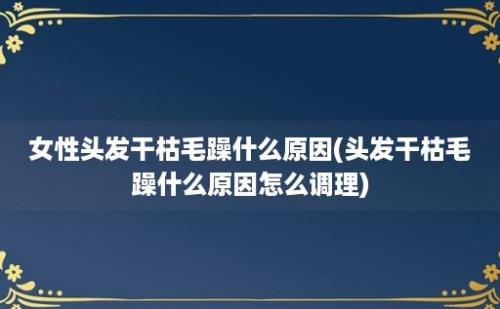 女性头发干枯毛躁什么原因(头发干枯毛躁什么原因怎么调理)