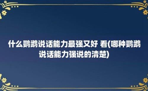 什么鹦鹉说话能力最强又好 看(哪种鹦鹉说话能力强说的清楚)