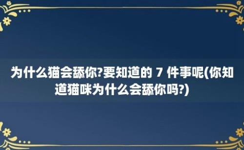 为什么猫会舔你?要知道的 7 件事呢(你知道猫咪为什么会舔你吗?)