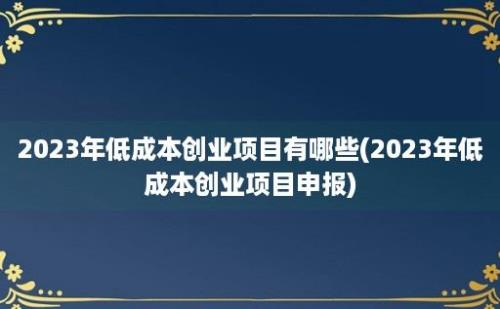 2023年低成本创业项目有哪些(2023年低成本创业项目申报)