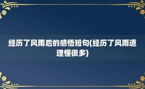 经历了风雨后的感悟短句(经历了风雨道理懂很多)