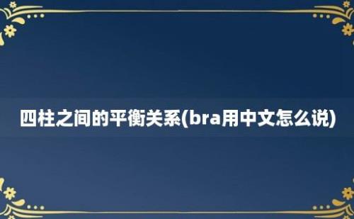 四柱之间的平衡关系(bra用中文怎么说)