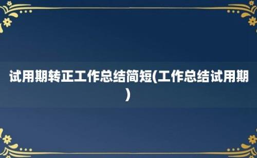 试用期转正工作总结简短(工作总结试用期)