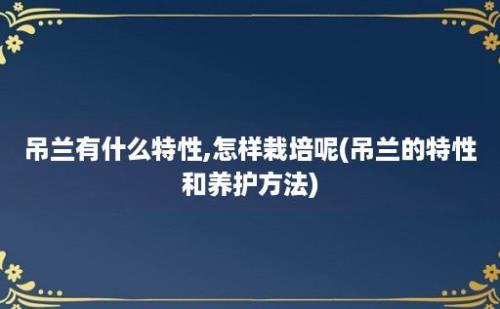 吊兰有什么特性,怎样栽培呢(吊兰的特性和养护方法)