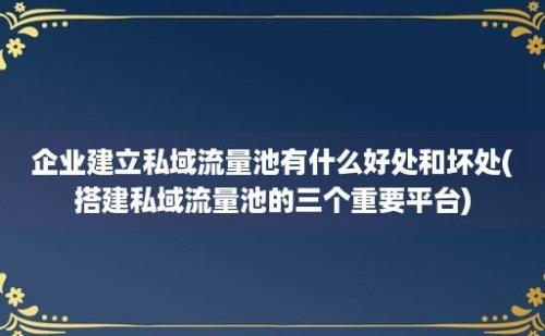 企业建立私域流量池有什么好处和坏处(搭建私域流量池的三个重要平台)