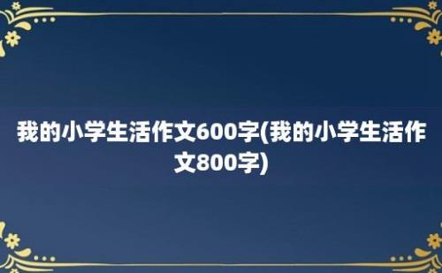 我的小学生活作文600字(我的小学生活作文800字)