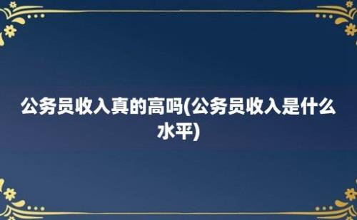 公务员收入真的高吗(公务员收入是什么水平)