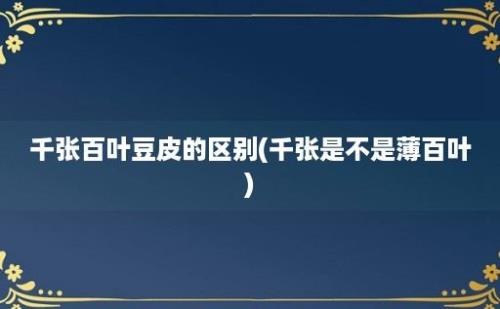 千张百叶豆皮的区别(千张是不是薄百叶)